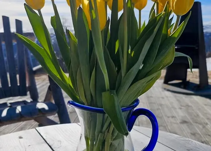 Mountain Cabin With Panoramic Views In Oppdal * Oppdal